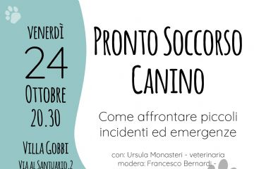 immagine: cane con cassetta pronto soccorso
Nell'ambito del progetto “Tutela e Responsabilità: Progetto di Educazione per il Benessere dei Cani in Val Tanaro” venerdì 24 ottobre alle ore 20,30 si terrà a Garessio, presso Villa Gobbi, l'evento "Pronto soccorso canino - come affrontare piccoli incidenti ed emergenze".
Con Ursula Manasteri - veterinaria
Modera Francesco Bernardi - addestratore cinofilo ENCI