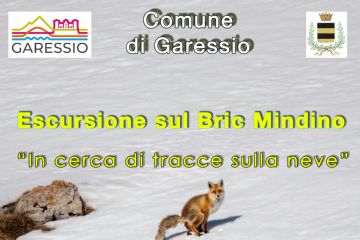 immagine: neve su uno sfondo innevato
Sabato 27 dicembre 2025 si svolgerà l'escursione gratuita sul Bric Mindino per esplorare il territorio di Garessio.

Per info e prenotazioni:
Aldo Acquarone geologo e guida escursionistica ambientale della Regione Piemonte: 
3356214395
mail aldoacquarone@gmail.com
Gabriele Cristiani
Fotografo Naturalista, guida Parco Alpi Marittime e guida escursionistica ambientale Regione Piemonte
3356037170
gabri.cristiani@gmail.com


                                    